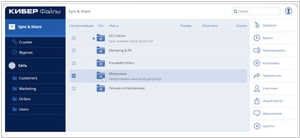Кибер Файлы